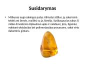 Gintaras skaidrės 4 puslapis