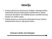 Gintaras skaidrės 5 puslapis