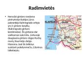 Gintaras skaidrės 7 puslapis