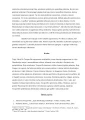 Daugumos tironijos pavojai, arba prancūzų aristokrato mintys apie demokratiją Amerikoje 11 puslapis