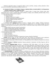 Pagrindinės informatikos sąvokos ir apibrėžimai 20 puslapis