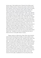 Žmogaus likimas lietuvių literatūroje 2 puslapis