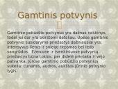 Potvyniai pasaulyje 5 puslapis