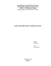 UAB „Svajonių šalis“ verslo planas