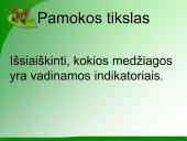 Indikatoriai 2 puslapis