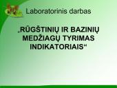 Indikatoriai 11 puslapis