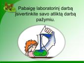 Indikatoriai 13 puslapis