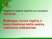 Indikatoriai 4 puslapis