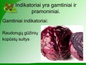 Indikatoriai 5 puslapis