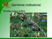 Indikatoriai 6 puslapis