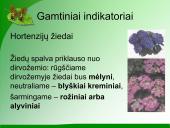 Indikatoriai 7 puslapis