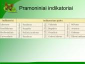 Indikatoriai 8 puslapis