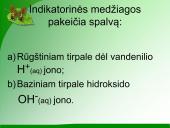 Indikatoriai 9 puslapis