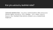 Aukštaitijos apranga 2 puslapis