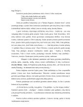 Adomas Mickevičius referatas 8 puslapis