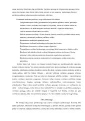 Lietuvos ekonomikso problemų analizė 14 puslapis