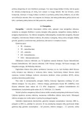 Lietuvos ekonomikso problemų analizė 8 puslapis