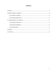 Vaizduotės samprata R. Descartes ,,Metafiziniuose apmąstymuose" 2 puslapis