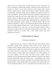 Vaizduotės samprata R. Descartes ,,Metafiziniuose apmąstymuose" 5 puslapis