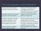 Projektas „Pirmoji pagalba“ 11 puslapis