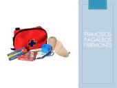 Projektas „Pirmoji pagalba“ 12 puslapis