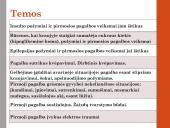 Projektas „Pirmoji pagalba“ 5 puslapis