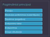 Projektas „Pirmoji pagalba“ 10 puslapis