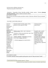 Literatūros kurso kartojimas (11-12kl.) 11 puslapis