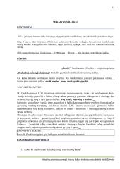 Literatūros kurso kartojimas (11-12kl.) 17 puslapis
