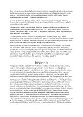 Romantizmo autoriai 4 puslapis