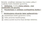 R. Granausko "Saulėlydžio senis" analizė 2 puslapis