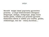 R. Granausko "Saulėlydžio senis" analizė 11 puslapis
