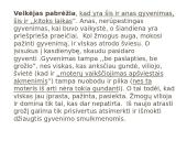 R. Granausko "Saulėlydžio senis" analizė 6 puslapis
