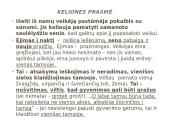 R. Granausko "Saulėlydžio senis" analizė 7 puslapis