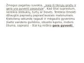 R. Granausko "Saulėlydžio senis" analizė 9 puslapis