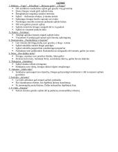 Autorių kartojimas prieš VBE 12 puslapis