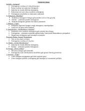 Autorių kartojimas prieš VBE 13 puslapis