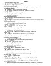 Autorių kartojimas prieš VBE 14 puslapis