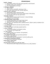 Autorių kartojimas prieš VBE 15 puslapis