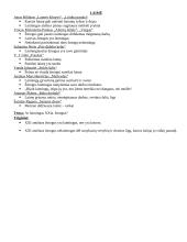 Autorių kartojimas prieš VBE 16 puslapis