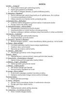 Autorių kartojimas prieš VBE 19 puslapis