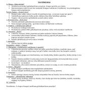 Autorių kartojimas prieš VBE 6 puslapis