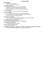 Autorių kartojimas prieš VBE 8 puslapis