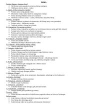 Autorių kartojimas prieš VBE 9 puslapis