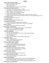 Autorių kartojimas prieš VBE 10 puslapis