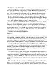 Aukštujų Šimonių likimas analizė 11 puslapis