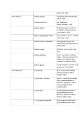 Aukštujų Šimonių likimas analizė 13 puslapis