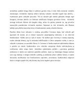 Įstatymo viršenybės principas Antikoje ir Viduramžiais 2 puslapis