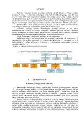 Finansų valdymo ypatybės: UAB "Būsto paskolų draudimas" 2 puslapis