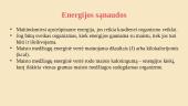 Maitinamės - gauname energijos 4 puslapis